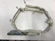 Airbag Dach links BMW 6er Gran Coupe (F06)