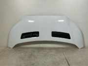 Motorhaube FORD TRANSIT 2.0 TDCi TKK31-A16612-AA