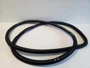 Türgummi links vorne Land Rover Range Rover Evoque I (L538)