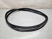 Türgummi links vorne Kia Sorento II (XM) 82110C5000