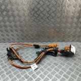 Kabelbaum VW ID.4 (E21) PURE 1EA971015T