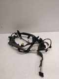 Kabel der vorderen linken Tür RENAULT MEGANE III Hatchback (BZ0_) 1.6 dCi (BZ00, BZ12) 241248026R