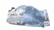 Innenkotflügel hinten links BMW 3 Touring (E91) 320 d 7059377