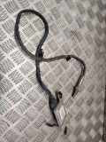 Sauerstoffsensor (Lambdasensor) AUDI Q5 (8R) 2.0 TDI quattro 8R0907807G