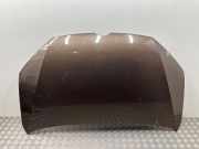 Motorhaube VW SHARAN (7N1, 7N2) 2.0 TDI