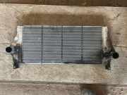 Ladeluftkühler RENAULT LAGUNA II (BG0/1_) 1.9 dCi (BG05) 8200008761