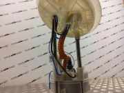 Kraftstofftankpumpe BMW X3 (F25) xDrive 28 i 7293756