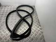 Türgummi rechts vorne BMW 3er Coupe (E92) 7119092