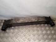 Ladeluftkühler Ford Galaxy (CK) 0823856