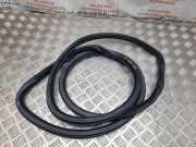 Türgummi links vorne Audi Q7 (4L)