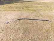 Dach SRS rechts MERCEDES-BENZ GL (X164) GL 420 CDI 4-matic (164.828) 30361420F