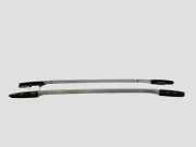 Dachreling links PEUGEOT 407 Coupe (6C_) 2.0 HDi