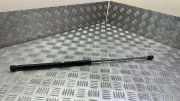 Heckklappe Gasdruckfeder links LAND ROVER RANGE ROVER EVOQUE Cabrio (L538) 2.0 D 4x4 BJ32406A10AB