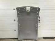 Dachverkleidung CITROËN C5 I (DC_) 1.8 16V (DC6FZB, DC6FZE) 98378299DZ