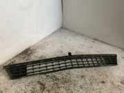 Vorderer oberer Gitter MERCEDES-BENZ B (W245) B 150 (245.231)