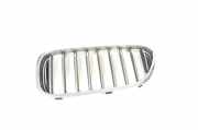 Vorderer oberer Gitter BMW 5 (G30) 520 d xDrive 7390865 7383519