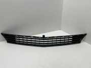 Gitter vorne unten MERCEDES-BENZ B (W245) B 180 CDI (245.207) 210000033 A1698850123