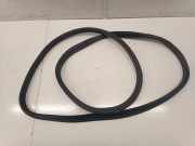 Türgummi links vorne BMW 1er (F40)