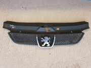 Kühlergrill oben Peugeot 406 Break (8E/F) 9631250277