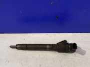 Düsenstöcke Volvo V70 III (135) 0445110298