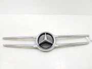 Ziergitter Mercedes-Benz Vito Kasten (W447) A4478880051