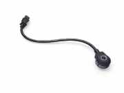 Klopfsensor VW TRANSPORTER IV Minibus / passenger (70XB, 70XC, 7DB, 7DW, 7DK) 2.5 0261231066