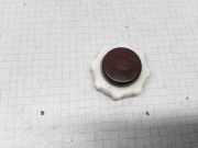 Andere Motorraumteile RENAULT CLIO II (BB0/1/2_, CB0/1/2_) 1.4 (B/CB0C)