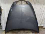 Motorhaube Lancia Thesis (841)