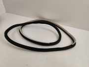 Türgummi rechts vorne Renault Espace V (JR)