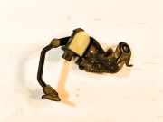 Sensor für Xenonlicht Leuchtweiteregulierung Audi A6 (4F, C6) 4F0616571K