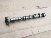 Nockenwelle AUDI A6 (4F2, C6) 3.0 TDI quattro 059102CB