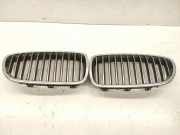 Vorderer oberer Gitter BMW 5 (F10) 530 d 18801310