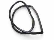 Türgummi links hinten Audi A8 (4D, D2)