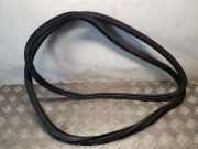 Dichtungsgummi der hinteren Tür (an der Karosserie) AUDI Q5 (8R) 2.0 TDI quattro