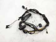 Kabel Tür BMW X5 (E53) 8352918