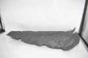 Schallschutz BMW 2 Coupe (G42, G87) 220 i 7433817