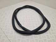 Türgummi rechts vorne Audi A4 Allroad (8W, B9) 8W0831721B