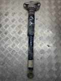 Stoßdämpfer hinten links VW PASSAT CC (357) 3.6 FSI 4motion 04902001862