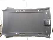 Dachsäule BMW X5 (E70)