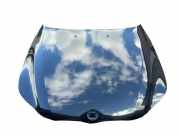 Motorhaube BMW 5 Touring (E61) 530 xd