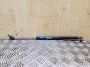 Gasfeder für Motorhaube Subaru Outback IV (BR)