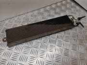 Kraftstoffkühler VW Passat B7 Alltrack (36, B7) LONGL02AL