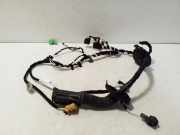 Türverkabelung hinten links VW TIGUAN (5N_) 2.0 TDI 4motion 5NA971693K