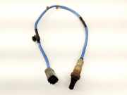 Sauerstoffsensor (Lambdasensor)