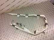 Dach SRS rechts TESLA MODEL 3 EV 640452901f