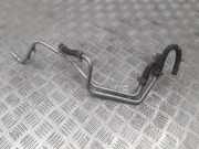 Schlauch Kühlung RENAULT LAGUNA Coupe (DT0/1) 3.0 dCi (DT03)