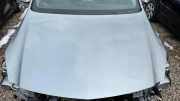 Motorhaube OPEL INSIGNIA A (G09) 2.0 CDTI (68)
