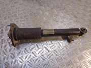 Stoßdämpfer hinten rechts BMW X5 (E70) xDrive 30 d 3352678193201 6781932