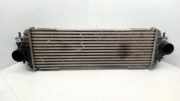 Ladeluftkühler OPEL VIVARO Furgon (F7) 1.9 DI IA1009