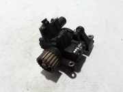Kraftstoffpumpe Renault Megane IV Schrägheck (B9A) 167003669R